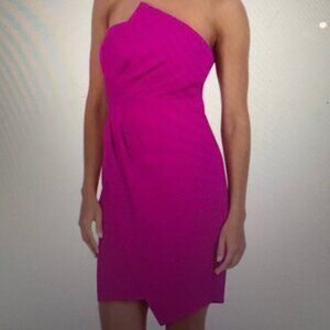 Siena Draped Sheath Minidress